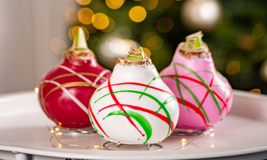 Image 2: One or Two Amaryllis Touch of Wax Art, Decorative No-Water Blooms