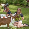 Image 25: Adults-Only All-Inclusive Resort in Negril Jamaica