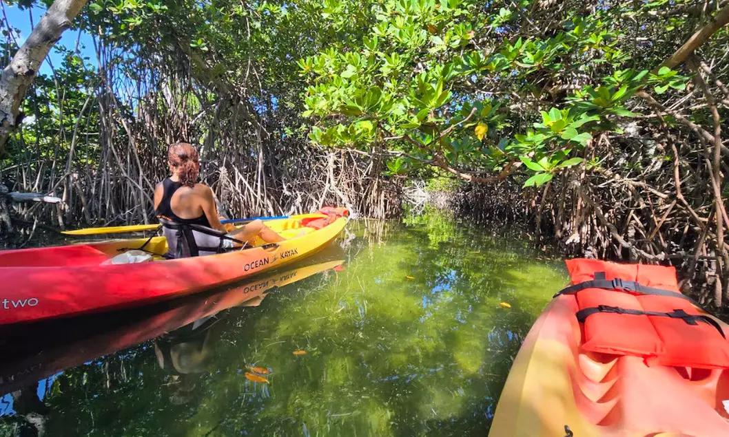 Guided Kayak or SUP Eco-Tour – Geiger Key, Key West