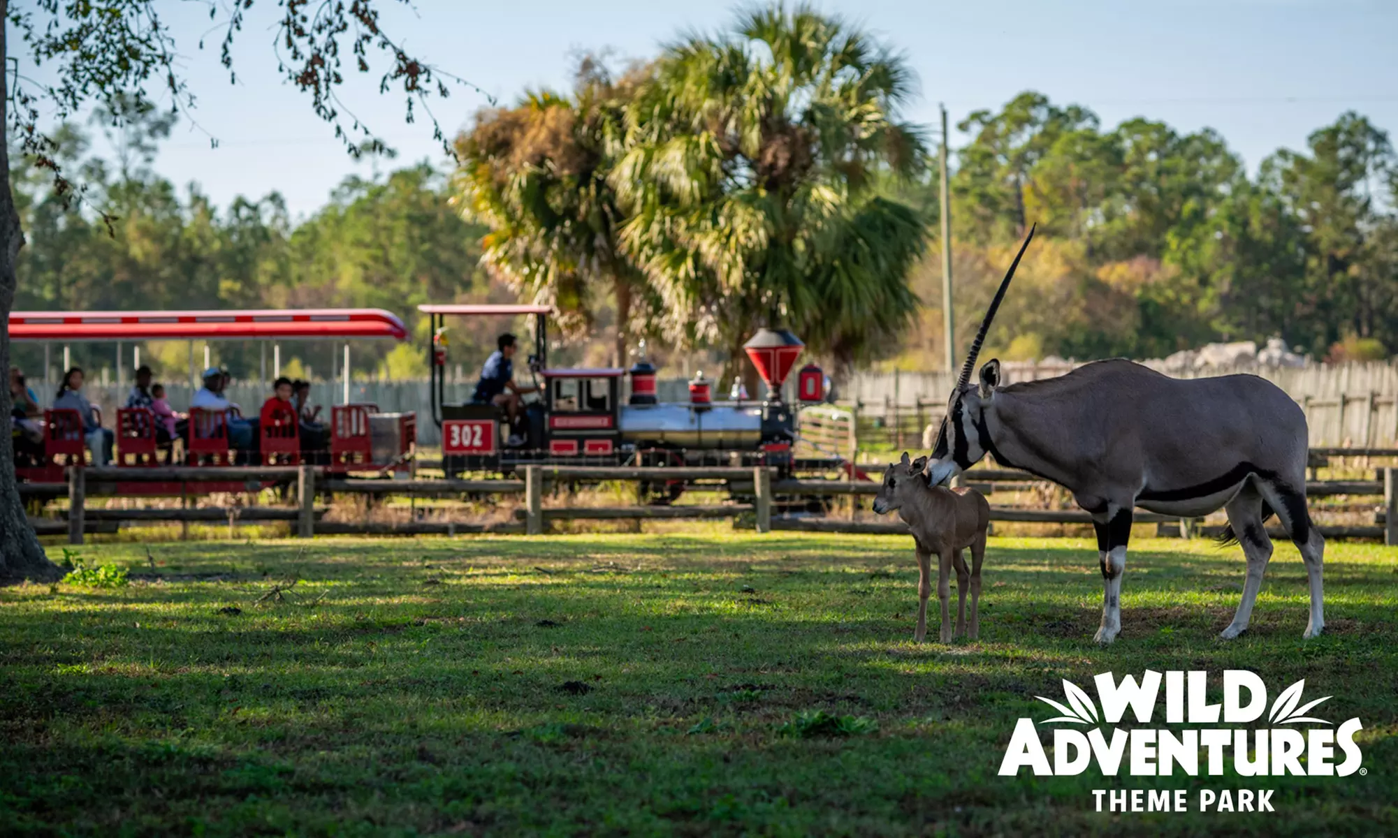 Wild Adventures Theme Park: Single Day Admission, Silver or Gold Pass