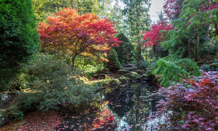 Image 22: Northumberland: Classic Double Room w/ Breakfast & Dinner Credit