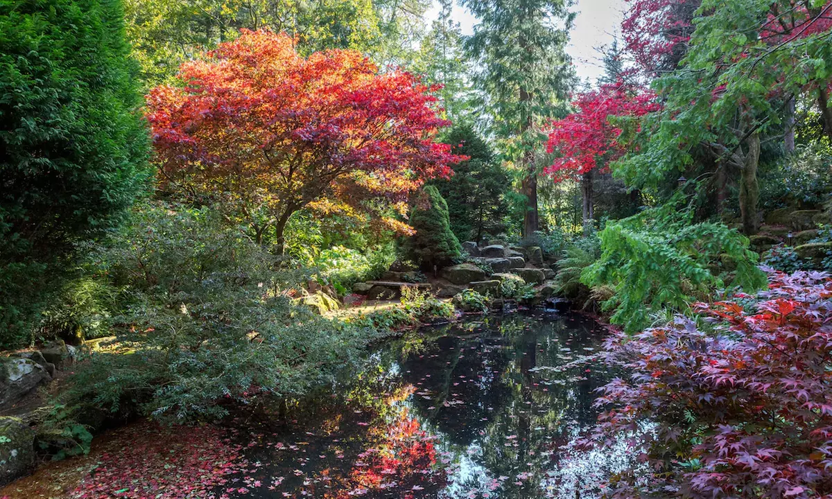 Northumberland: Classic Double Room w/ Breakfast & Dinner Credit