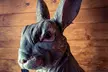The Rabbit Hole Offers $20 or $40 Towards Food and Drink Experience in Chicago (Up to 28% Off) - Second Medium