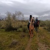 Image 2: Paseo a caballo de 1 hora con pincho y bebida para 2 o 4 personas 