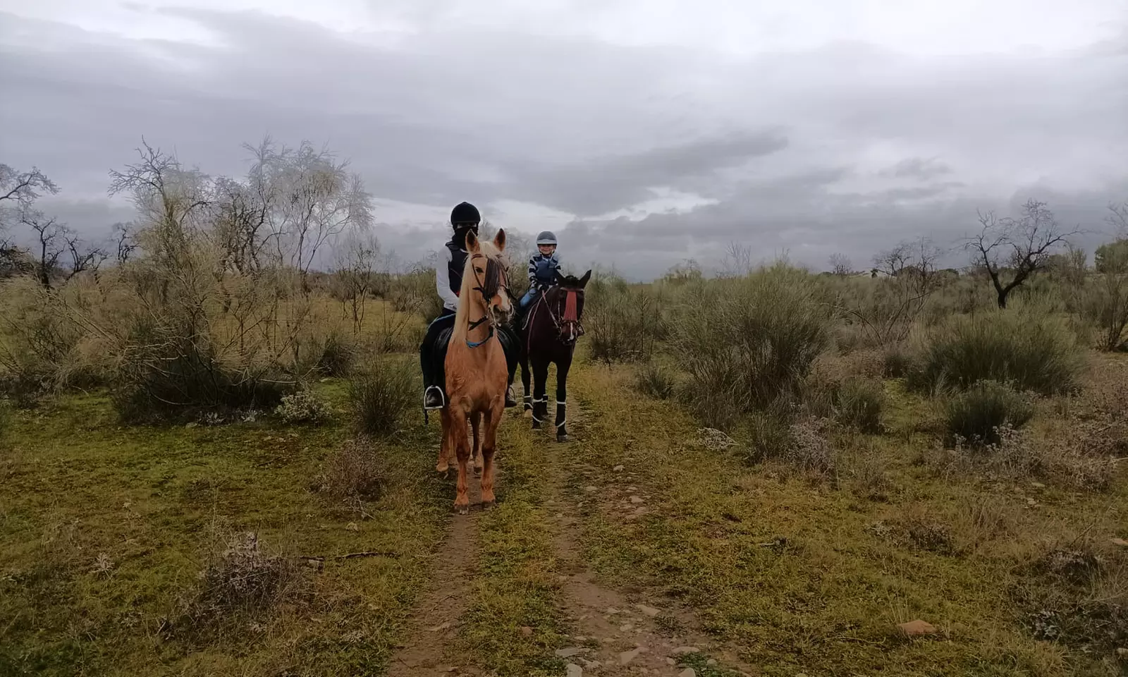 Paseo a caballo de 1 hora con pincho y bebida para 2 o 4 personas