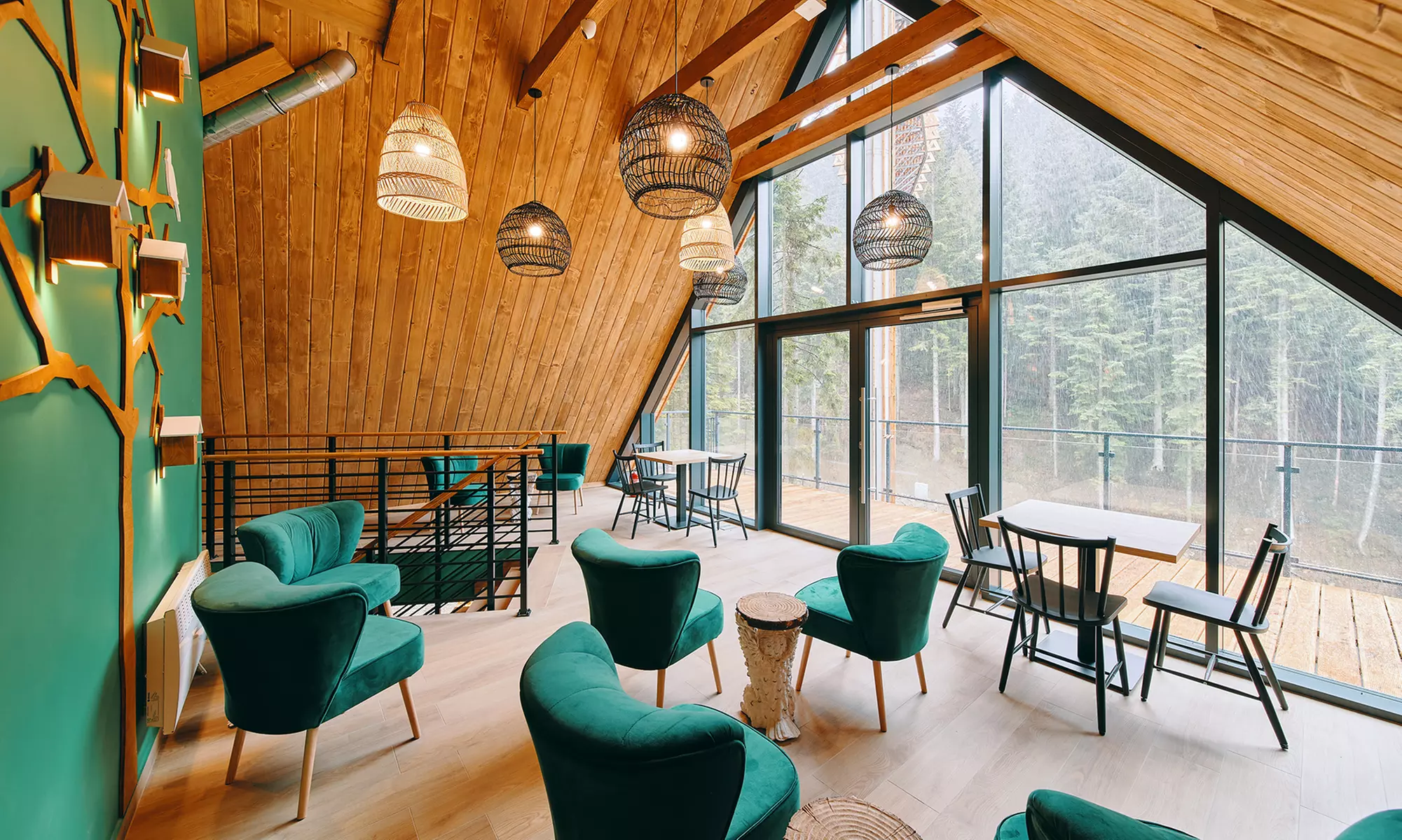 Odkryj magię natury w Centrum Przyrodniczo-Edukacyjnym Brama w Gorce