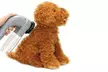 Pet Hair Vacuum Remover x1, or x2 Options from Ever Mercantile (Up to 76% Off); Free Shipping - Image 3