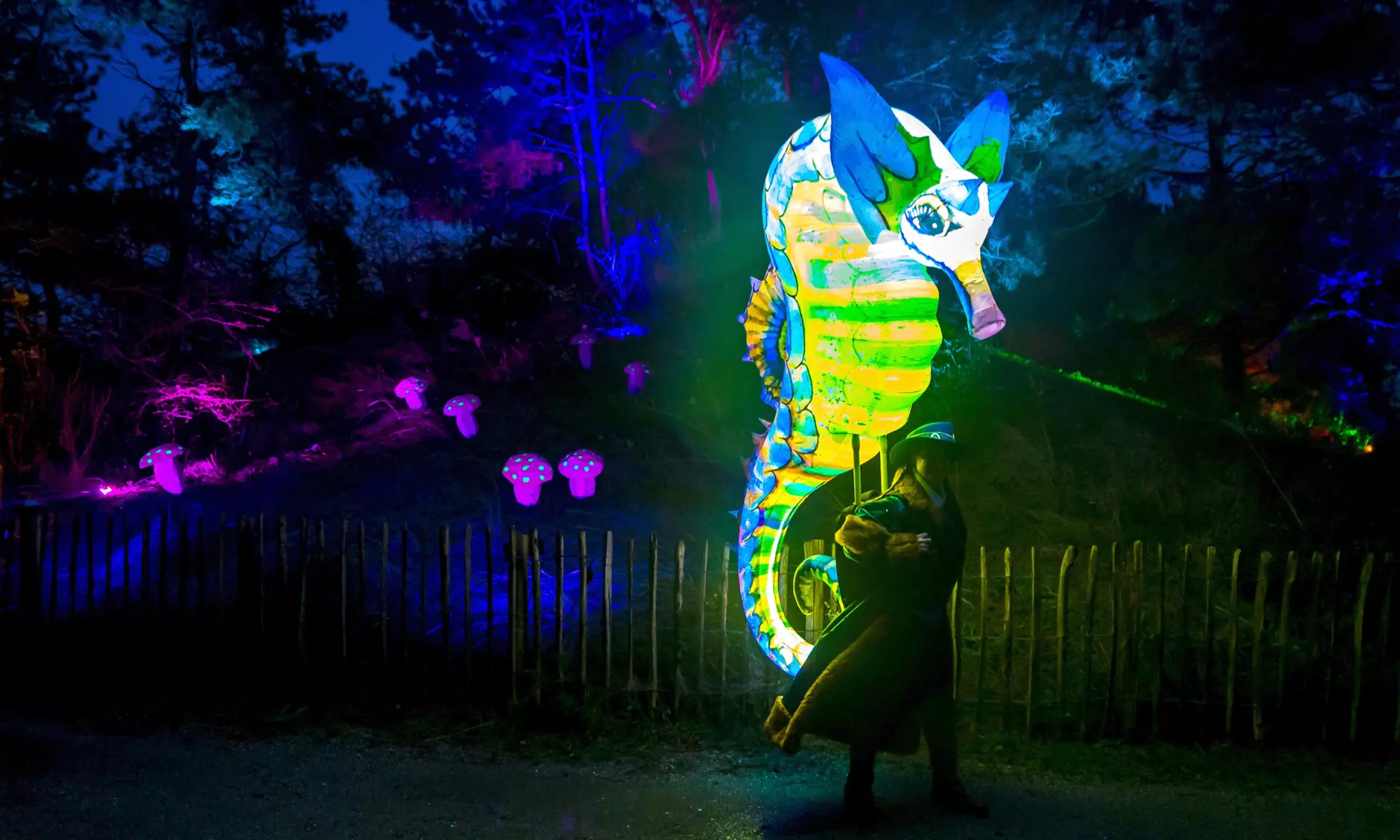 Einrittskarte "Dolfinarium" in Harderwijk, Niederlande für 1 Person