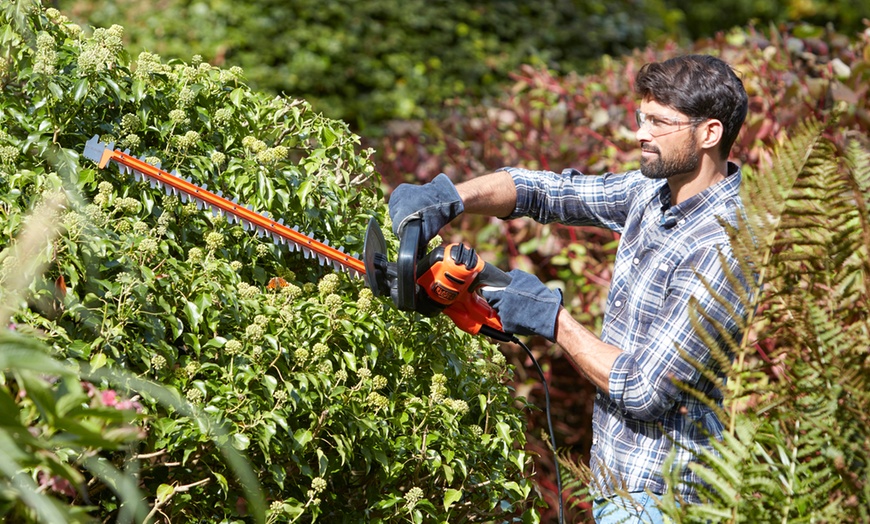 Image 21: Black and Decker Garden Bundle