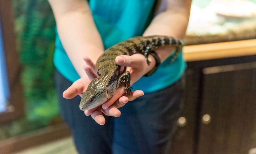 Image 6: Explore World Class Natural History, Dinosaurs and Live Animals