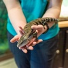 Image 6: Explore World Class Natural History, Dinosaurs and Live Animals