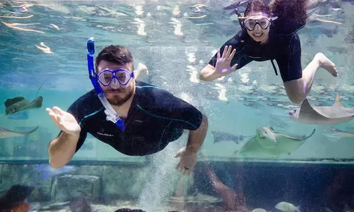 General Admission, Admission to Snorkel, or Birthday Party Package
