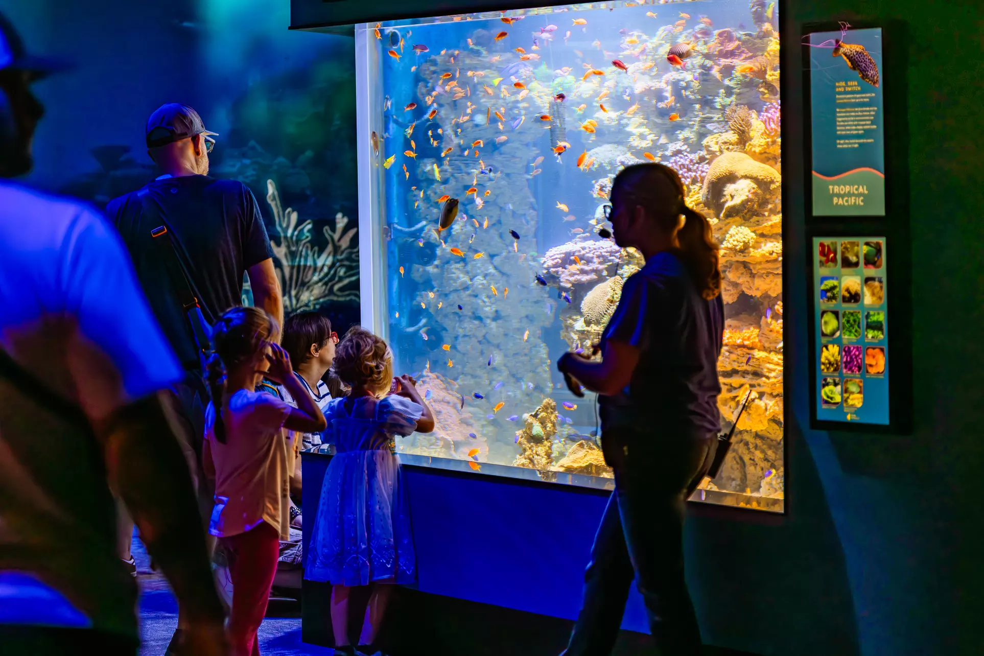 Immerse in a Seas 'n' Greetings Winter Wonderland at Birch Aquarium at Scripps (Save up to 31%)