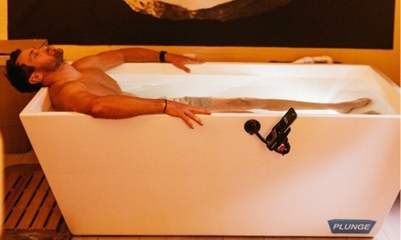 One Cold Plunge Session - Buddha Bella Healing Center