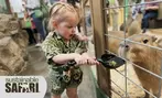 Sustainable Safari Admission - Play, Feed & Explore 98+ Animal Species