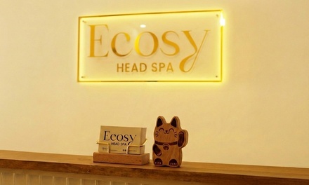 60 mins Relaxing Head Spa Pamper Treatment - Castle Hill Location - 2 People - Ecosy Head Spa