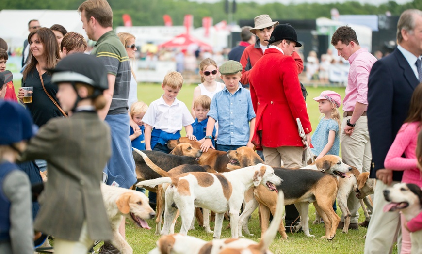 Image 13: Royal Cheshire County Show | Cheshire | 17-18 June 2025