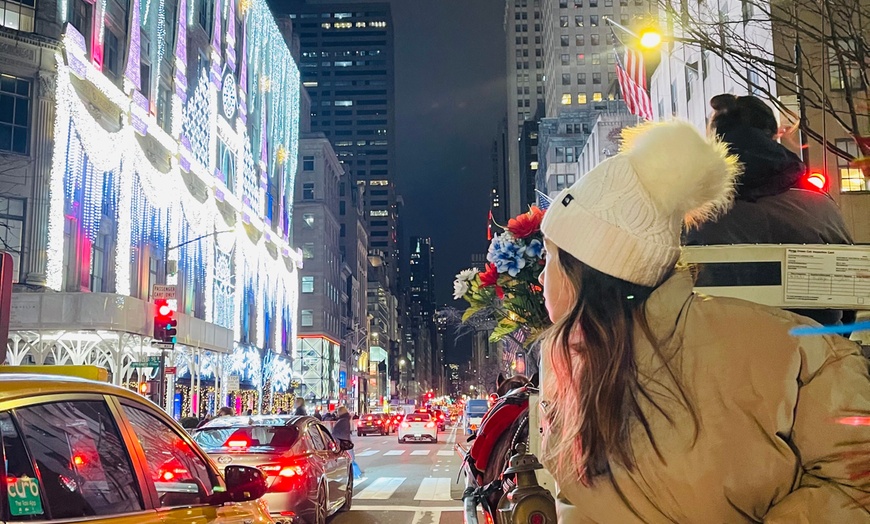 Image 6: Private Christmas Lights Carriage Ride – New York City
