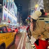 Image 6: Private Christmas Lights Carriage Ride – New York City
