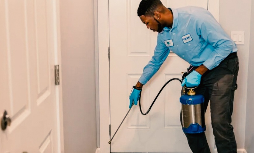 Image 1: Pest Control, Termite Inspection & Complete Flea Treatment
