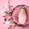 Image 8: Newborn Photography: Get a Standard, Deluxe or Solo Collection