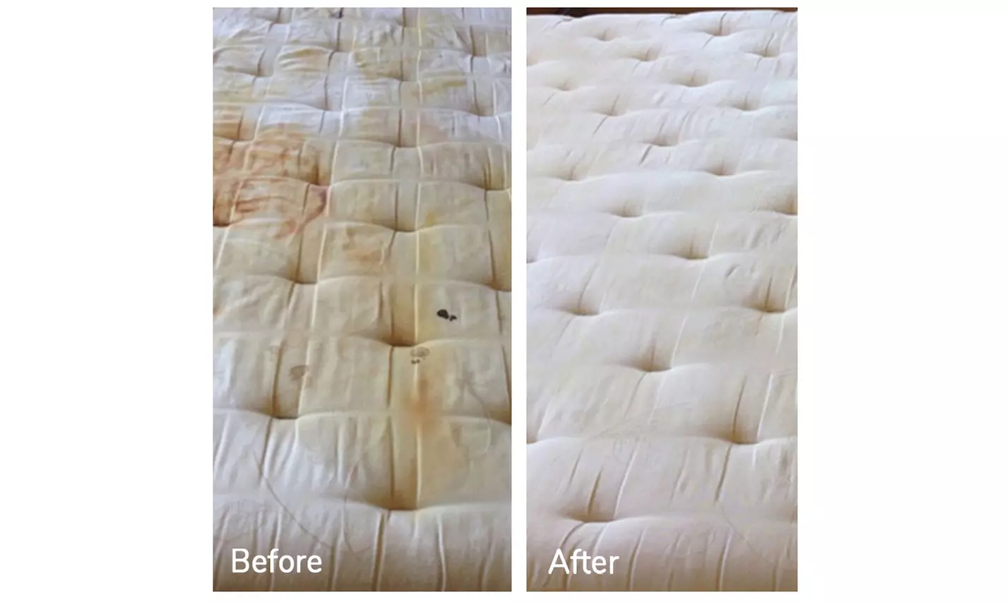 Expert Rug Cleaning with Convenient Services 