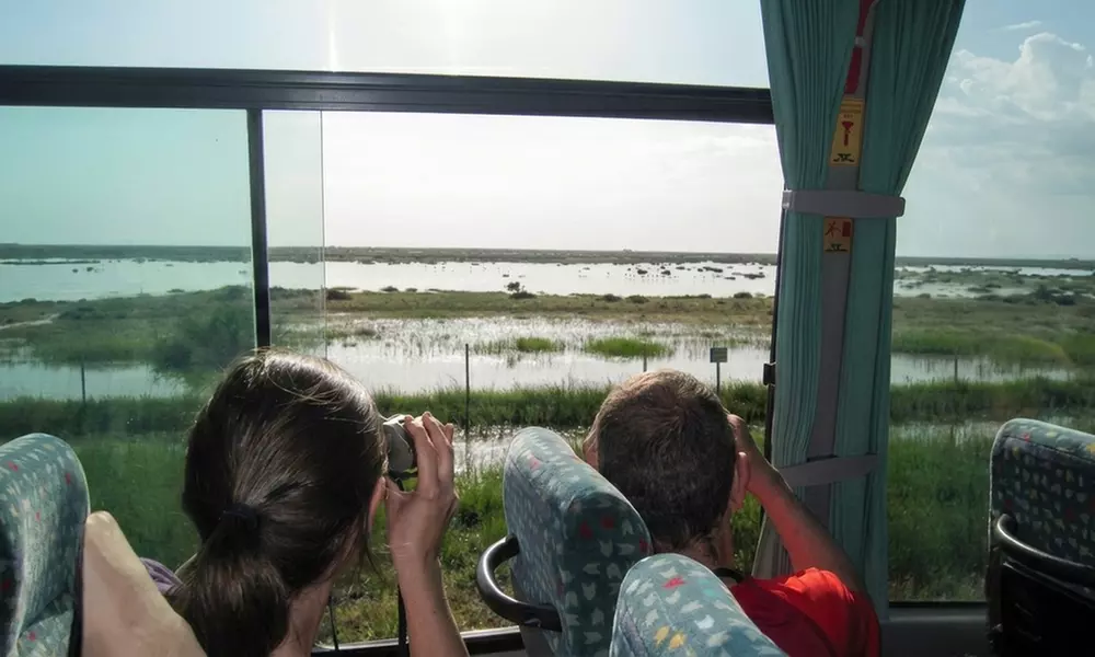 Visita guiada al Parque Nacional de Doñana en 4x4 para niño o adulto