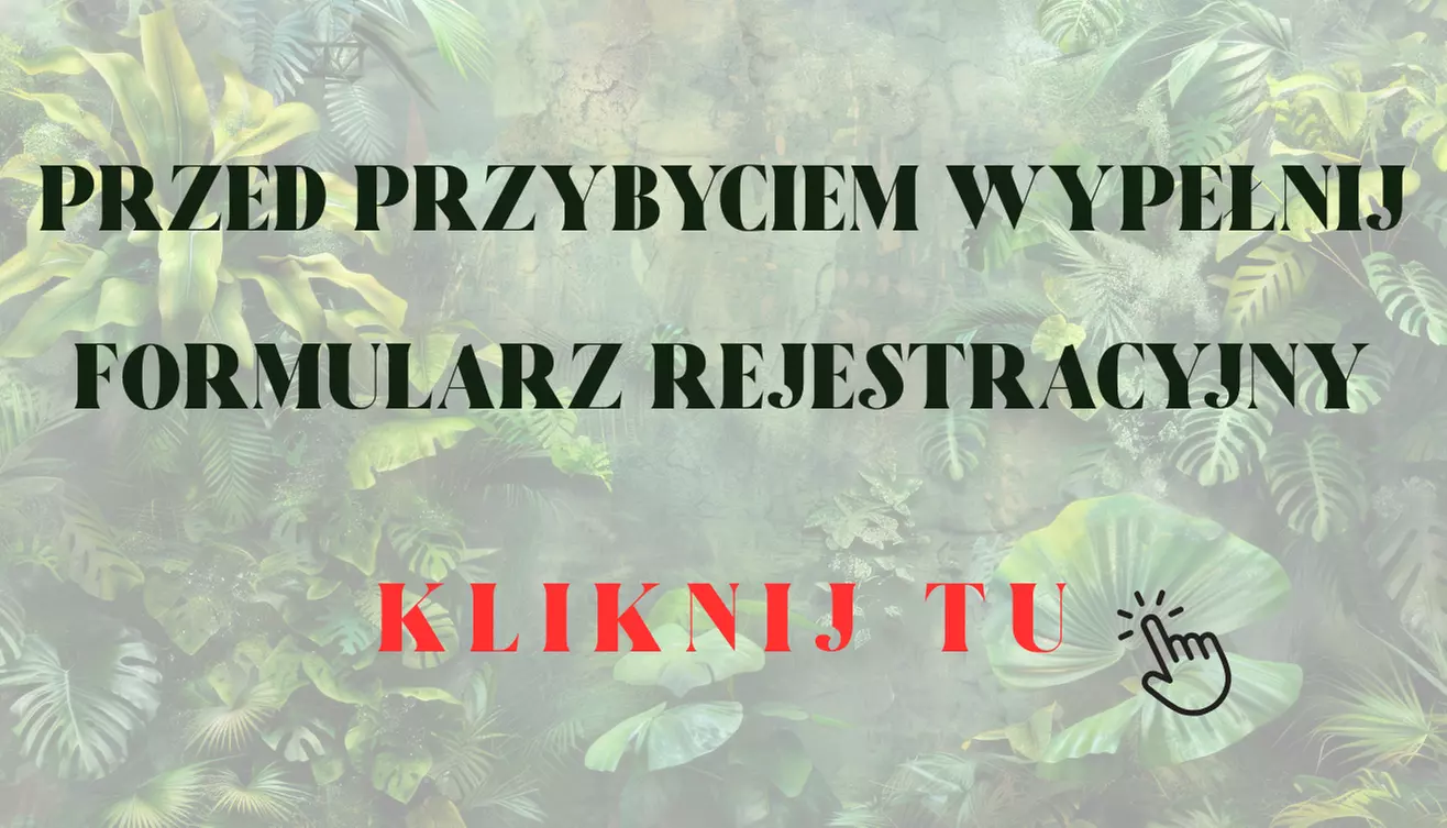 Odlotowa rozrywka w sercu dzikiej dżungli: codzienne bilety wstępu