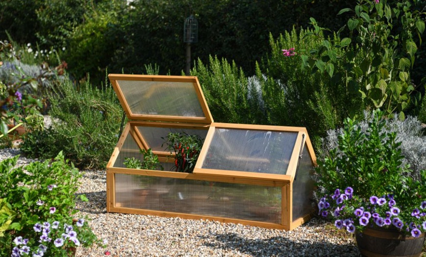 Image 4: Garden Gear Wooden 3-Tier Greenhouse or XL Cold Frame