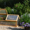 Image 4: Garden Gear Wooden 3-Tier Greenhouse or XL Cold Frame