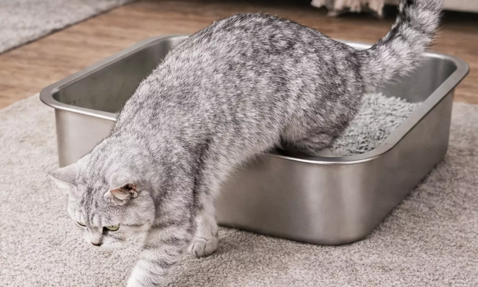 Skylos Stainless Steel Cat Litter Box Series