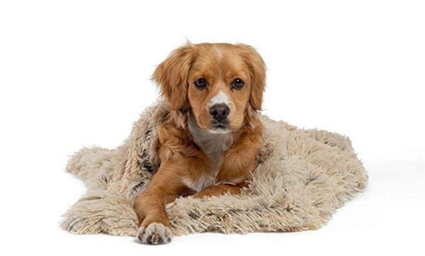 Image 1: Plush Pet Blanket