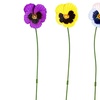 Image 13: 6- or 12-Packs of Pansy or Sunflower Design Stakes