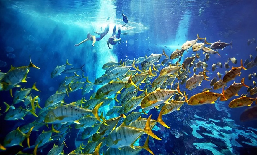 Image 7: Explore the Lost World Aquarium – Entry for Kids, Adults & Families