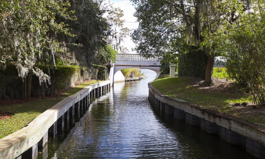 Image 5: Orlando City Bus Tour: Explore Neighborhoods & Disney Springs