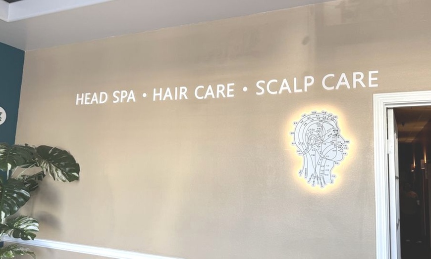 Image 4: Enjoy Classic Head Spa Treatments w/Scalp & Shoulder Massage for 1-2