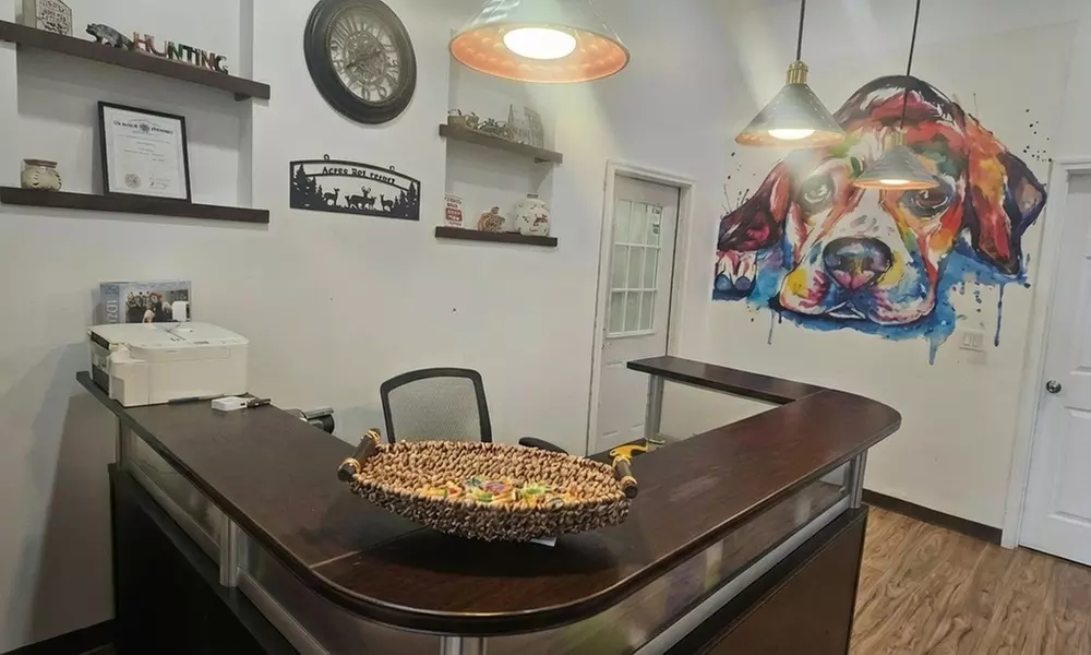 Dog Boarding Stays with Daily Play and Attentive Care Options