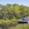 Image 3: Everglades Airboat Tour featuring Wildlife Show, Alligators & More