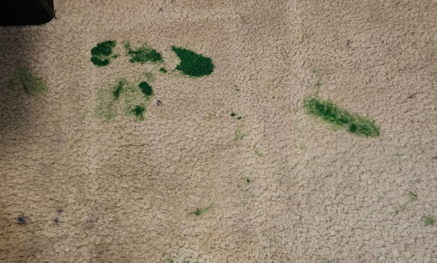 Image 4: Up to 62% Off on Carpet Cleaning at Aggro Carpet Cleaning