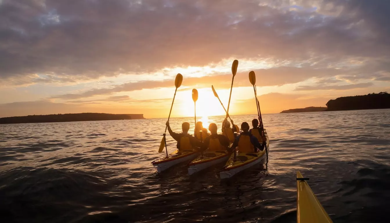 Sydney Harbour: 1–4 Hrs. & Full-Day Kayak Hire or 90-Min to 4-Hr Tours