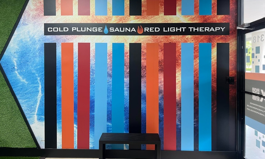 Image 11: 45-Minute Cold Plunge, Sauna and Red Light Therapy Sessions 