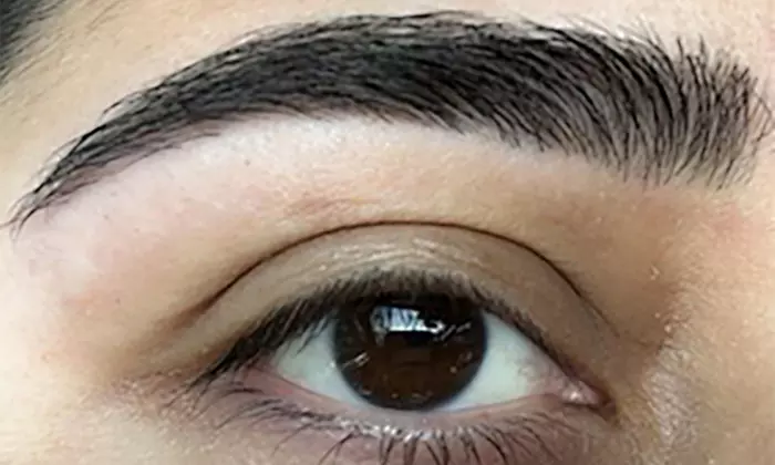 Renew with 1, 2 Eyebrow Tinting Sessions,Brow Lamination, & More