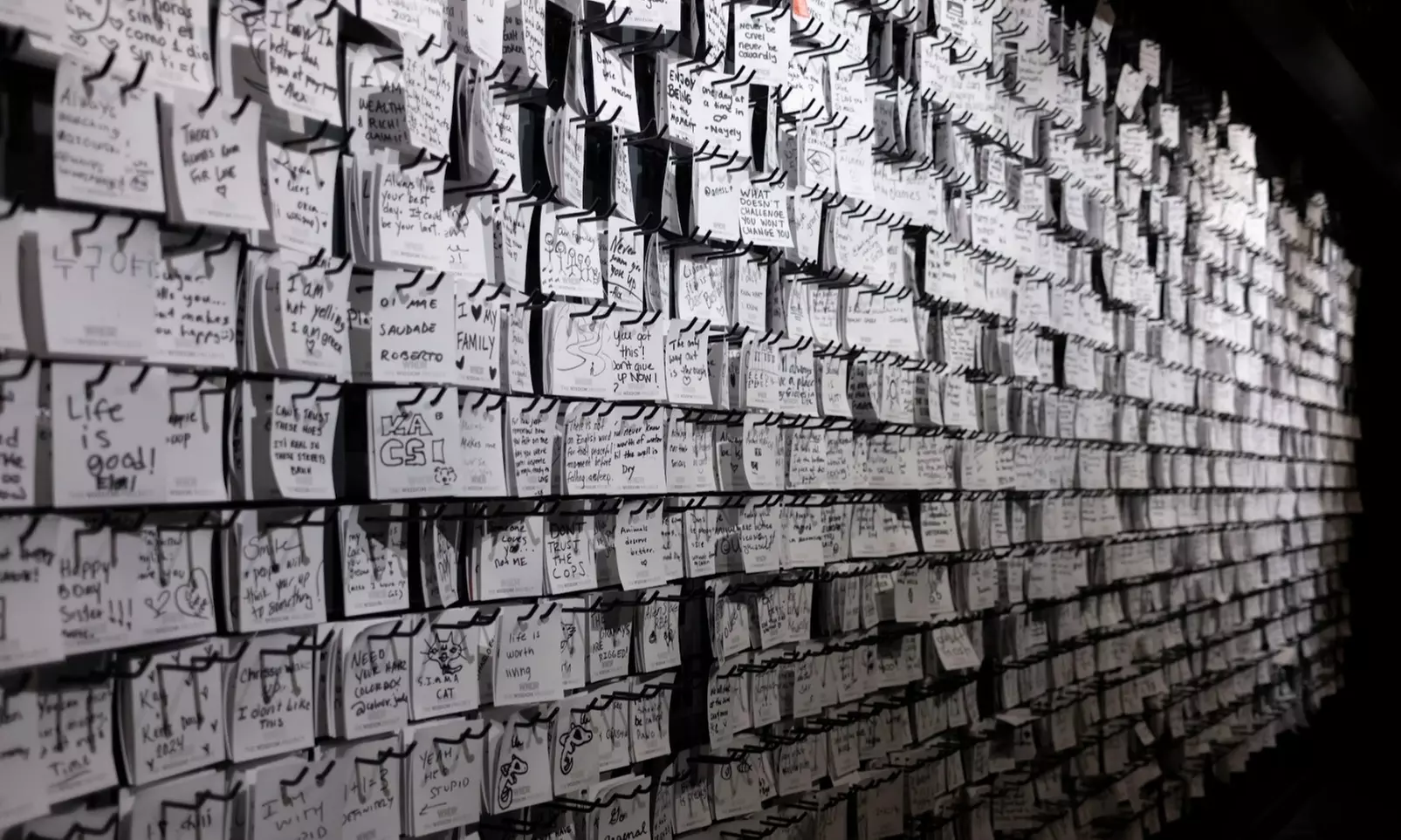 Admission to the Immersive Art Experience at WNDR Museum Boston