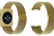 Waloo Milanese Loop Stainless Steel Apple Watch Band - Second Medium