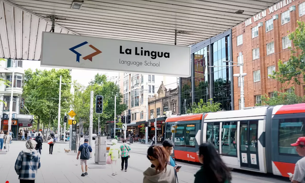 Learn 8 Week Beginner Language Course for 1 or 2 People