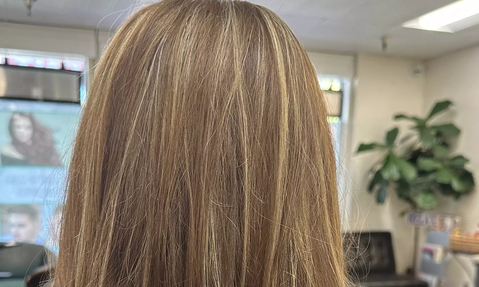 Haircut w/ Condition, Blow-Dry & Optional Single Process or Highlights