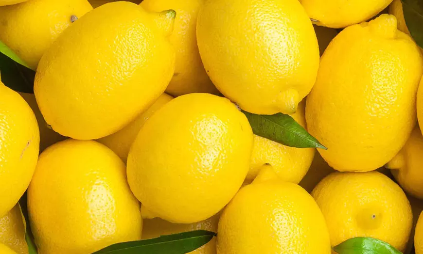 Image 4: Citrus 'Lemon' Tree