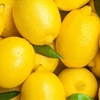 Image 4: Citrus 'Lemon' Tree