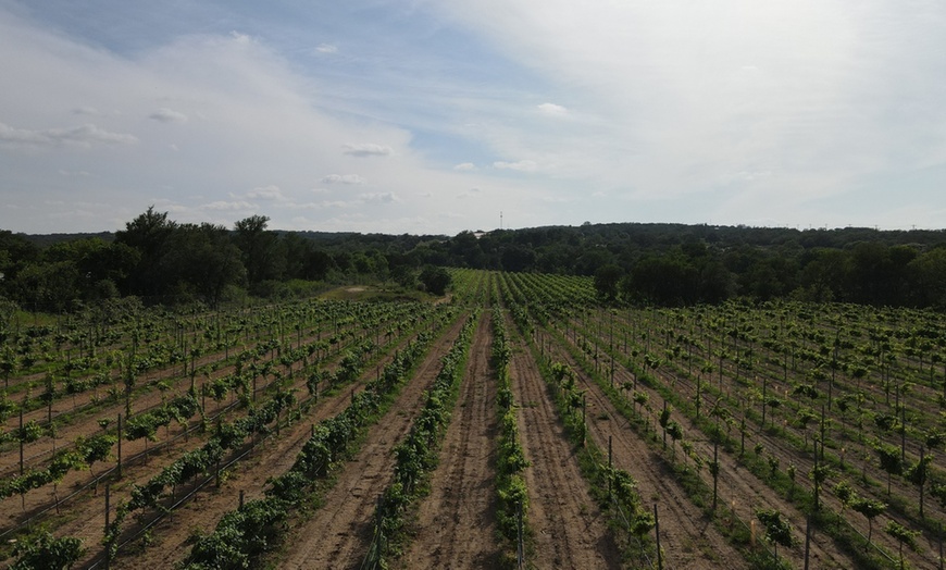 Image 27: Hill Country views, winery, spa, and laid-back Texas vibes