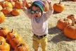 Enjoy Fall Traditions, Activities & More with Admission for Adults & Kids to Speer Family Farm (Up To 28% Off) - Second Medium